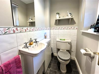 Picture 8